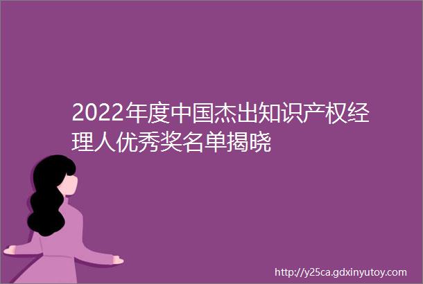2022年度中国杰出知识产权经理人优秀奖名单揭晓